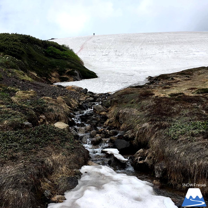 7月でも滑れる！大雪山黒岳～北鎮岳、残雪スノーボード滑走♪